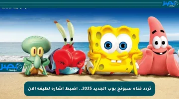 تردد قناة سبونج بوب الجديد 2025.. اضبط إشارة لطيفة الآن